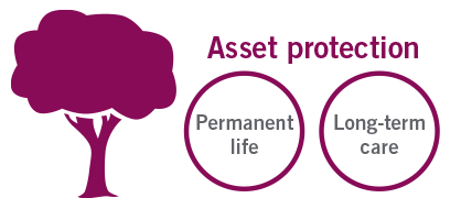 Asset protection - permanent life insurance, long-term care insurance