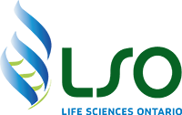 LSO