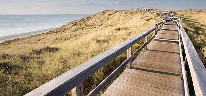 Wooden walkway over windy field