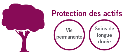 protection des actifs