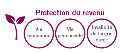 protection du revenu