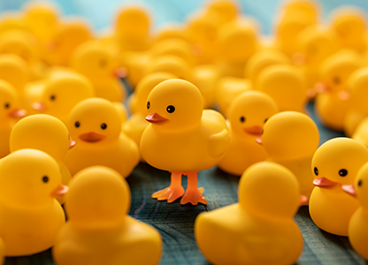Rubber ducky with legs standing above a sea of rubber duckies